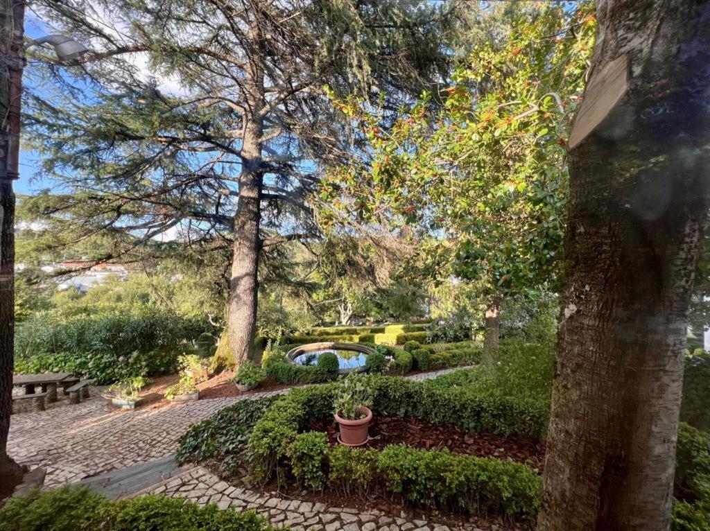 Casa Fundeira - Quinta Dos Esconhais Castanheira de Pera Eksteriør bilde